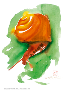 ACUARELA CARACOL