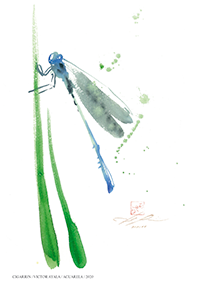 REPLICA ACUARELA CIGARRIN