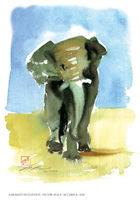 REPLICA ACUARELA GARABATO DE ELEFANTE