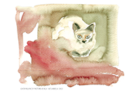 REPLICA ACUARELA GATO BLANCO